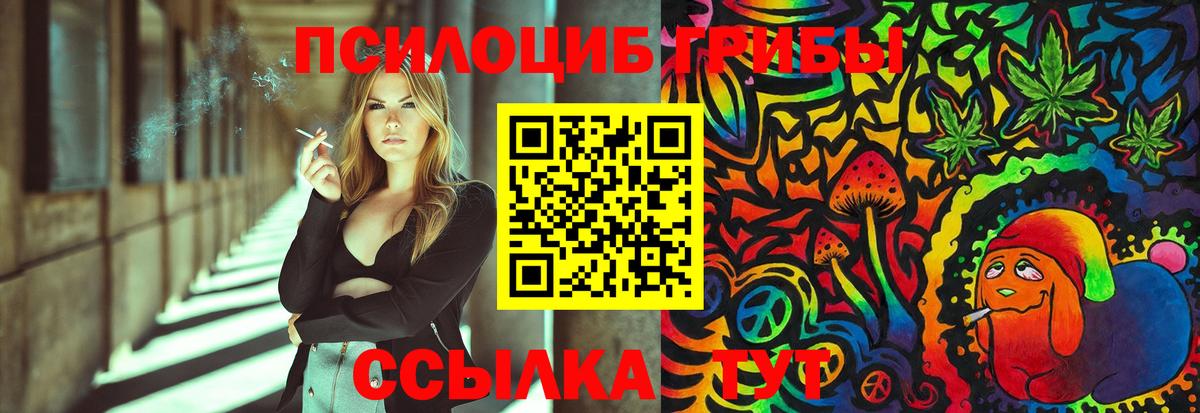 Галлюциногенные грибы GOLDEN TEACHER Уссурийск